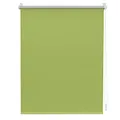 Lichtblick Thermorollo ohne Bohren, Klemmfix, Verdunklungsrollo, Hitzeschutz, Sichtschutz, Wandmontage, Deckenmontage, Rollo für Fenster und Türen Grün,B75 x H150 cm
