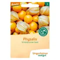 (0,15 EUR/Stk.) Bingenheimer Saatgut - Bio Physalis - ca. 42 Korn