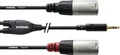 Cordial Audio Adapterkabel [1x Klinkenstecker 3.5mm - 2x XLR-Stecker] 1.80m Schwarz