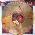 MUDDY WATERS - Me And My Blues - LP Vinyl Marbled Promo/1111 - NEU in Folie