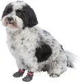 TRIXIE Hundesocken Anti-Rutsch grau M-L 2