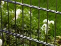Peddy Shield Gartenzaun Doppelstabmatten ohne Pfosten anthrazit 30m, Höhe 83cm