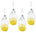 WYSKONT SET 16tlg. FLASCHE GÄRBALLON + STOPFEN + GÄRRÖHRCHEN + BÜGELVERSCHLUSS 5L BDG5D