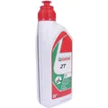 Castrol Mineral Motoröl 2-Takt 1L