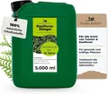 Koniferen Dünger Flora Boost 5000ml I Für bis zu 1000L Gießwasser