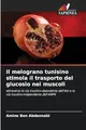 Il melograno tunisino stimola il trasporto del glucosio nei muscoli: attraverso la via insulino-dipendente dell'Akt e la via insulino-indipendente dell'AMPK