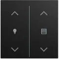 Busch-Jaeger LFDW/A.2.55.11-915 Abdeckung Wippe 2-fach, mit Symbol "Dimmen/Jalousie", Busch-Trevion, Busch-balance SI, KNX, schwarz matt