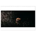 CALVENDO Wandkalender Trauringe (Wandkalender 2025 DIN A3 quer), CALVENDO Monatskalender 42.0 cm x 1 cm x 29.7 cm