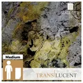 SlateLite Schieferfurnier "Translucent Falling Leaves", bunt, Leicht-Schiefer - grau