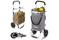 Arebos Einkaufstrolley 3-in-1 mit Kühlfach, klappbar 50 L & Tragkraft 50 kg, 56 l, integrierte Kühlfach