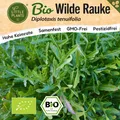 Wilde Rauke Samen (BIO) - 150 Samen Gemüsesamen Raukesamen Rucolasamen