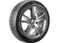 PIRELLI Ganzjahresreifen 4326000 205/55 R16 91V