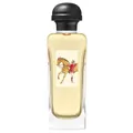 HERMÈS Equipage Eau de Toilette 100 ml