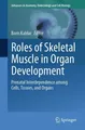 Roles of Skeletal Muscle in Organ Development Boris Kablar