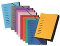 PAGNA Ordnungsmappe Sorting File, 12 Fächer, blau