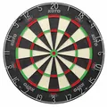 KOTO  King Pro 360 Profi Dartscheibe, Zahlenring, Offizielle Turniermaße mit ...