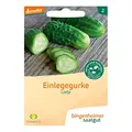 Bingenheimer Einlegegurke, Liefje (1)