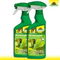 Neudorff Neudosan AF Neu 2x 500 ml Blattlausfrei Zierpflanzen Bekämpfung Garten