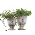 Loberon Übertopf Set Banon - Blumentopf Aus Terrakotta - Ideal Für Zimmerpflanzen & Kräuter - Ideal Für Balkon & Wohnzimmer - 2 Stück, antiksilber