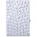 SCHLAFKÖNIG ® Sommerdaunendecke 135x200 extra leicht, hochwertige Sommer-Bettdecke für die heißen Sommernächte! 1A Daunen Qualität Klasse 1 - Weiß