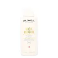 Goldwell Dualsenses Rich Repair 60Sec Treatment 500ml