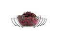 LAV Dessertschale Vira Glasschalen - 310 ml (10 1/2 oz), 12er Set, Glas, (6er-Set, 6-tlg), Geschwungene Form, ideal für Desserts, Snacks, Dips