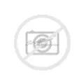 1x 225/45 R18 95V Aptany Allwetterreifen RC-501 All Seasons 3PMSF XL | 93607