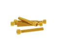 Schraubensatz 6 Stück Innensechskant Alu gold - M6x45