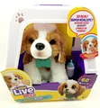 Little Live Pets My Really Real Puppy Luna interaktiver Welpe B-Ware neu