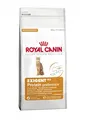 Royal Canin Exigent 42 Protein | 400g Katzenfutter