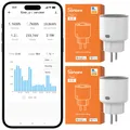 2Packs Sonoff S60 Zigbee Smart Steckdose 16A Plug Energiemessung Überlastschutz