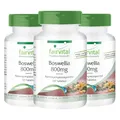 fairvital Weihrauch-Tabletten, Boswellia Serrata Extrakt 800mg Tagesdosis, 360 Tabletten (3x120), Hochdosiertes Indischer Weihrauch mit Mind. 65% Boswellia-Säuren, Vegan