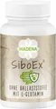 MADENA SiboEx Darmbakterien Kapseln