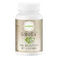 MADENA SiboEx Darmbakterien-Komplex ohne lösliche Ballaststoffe, 60 Kapseln mit 10 Bakterienstämmen (20 Mrd.) inkl. Bacillus coagulans, subtilis & clausii und L-Glutamin, vegan