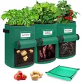 3er Set Kartoffel Pflanzsack 38L (10 Gallonen) - Premium Vliesstoff