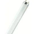 Osram Leuchtstofflampe T8 L 18W/880 Lumilux Skywhite G13 8000K 60cm
