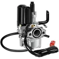 17mm Vergaser, Roller Vergaser Motorrad Carburetor mit E-Choke 2-Poligern...