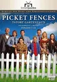 Picket Fences - Tatort Gartenzaun - Die komplette St... | DVD | Zustand sehr gut