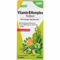 VITAMIN B KOMPLEX Tonikum Salus 250 ml PZN06149246