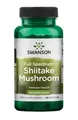 Swanson Premium Full Spectrum Shiitake Pilz 500mg 60 Kapseln