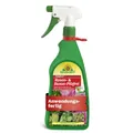 Neudorff Fungisan Rosen und Buxus Pilzfrei AF 1 Liter Sternrußtau Mehltau Rost