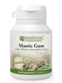 HEALTH LEADS MASTIX (MASTIC GUM) 380 MG X 20 KAPSELN
