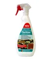 Hotrega Flechtex 750 ml Sprühflasche Flechten Entferner