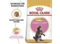 ROYAL CANIN Maine Coon Kitten 10 kg