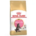 Royal Canin Maine Coon Kitten Trockenfutter Katze 10kg Wachstum Gelenke