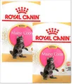 2 x 10 kg Royal Canin Maine Coon Kitten (€ 9,78/kg) für Coonie-Kätzchen