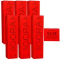 Schwarzkopf Igora Royal 6 x 60 ml 9,5-29 extra hellblond pastell lavendel Haarfa