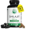 Green Naturals® Himalaya Shilajit 1300 mg – 180 Kapseln – 10:1 Extrakt mit 50% Fulvinsäure & 12% Huminsäure – Hochdosiert – Ohne Zusätze – 3 Monate Vorrat
