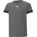 Puma Teamrise Jersey Trikot Kinder - grau