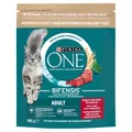 8002205871388 PURINA One Bifensis Adult Beef - Trockenfutter für Katzen - 800 g